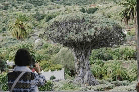 Private Tour of the Island – 3