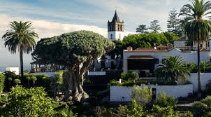 Island Sightseeing Tour (Bus Tour) – 4