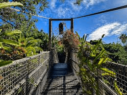 Jungle Park – 3