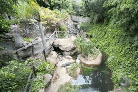 Jungle Park – 5