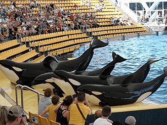 Loro Parque – 2